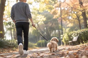 秋は、並んで歩きながら話すのにちょうどいい季節